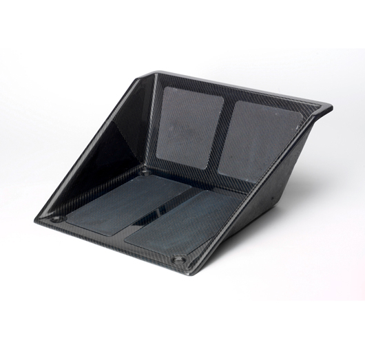 TRS Carbon Bodenplatte Fahrer und Fußstütze Beifahrer